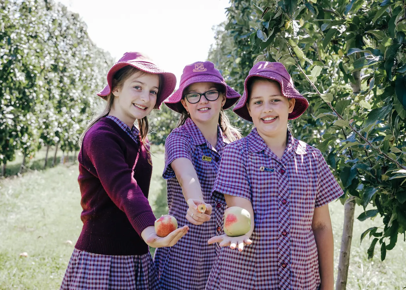 St Joseph's Catholic Primary School hero image