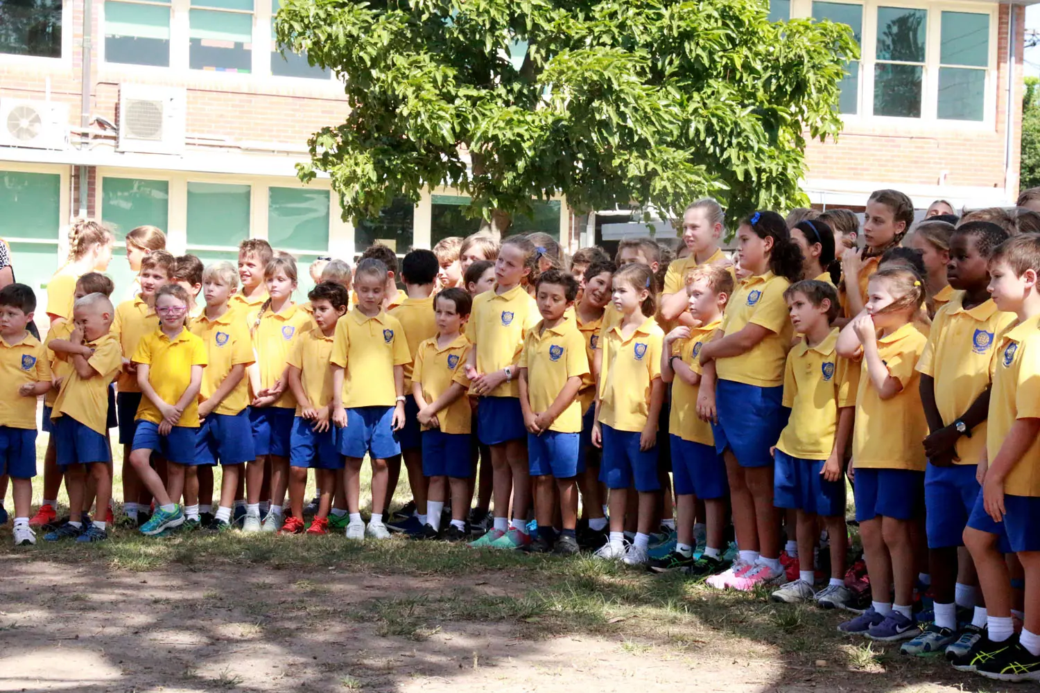 St Joseph's Primary School hero image