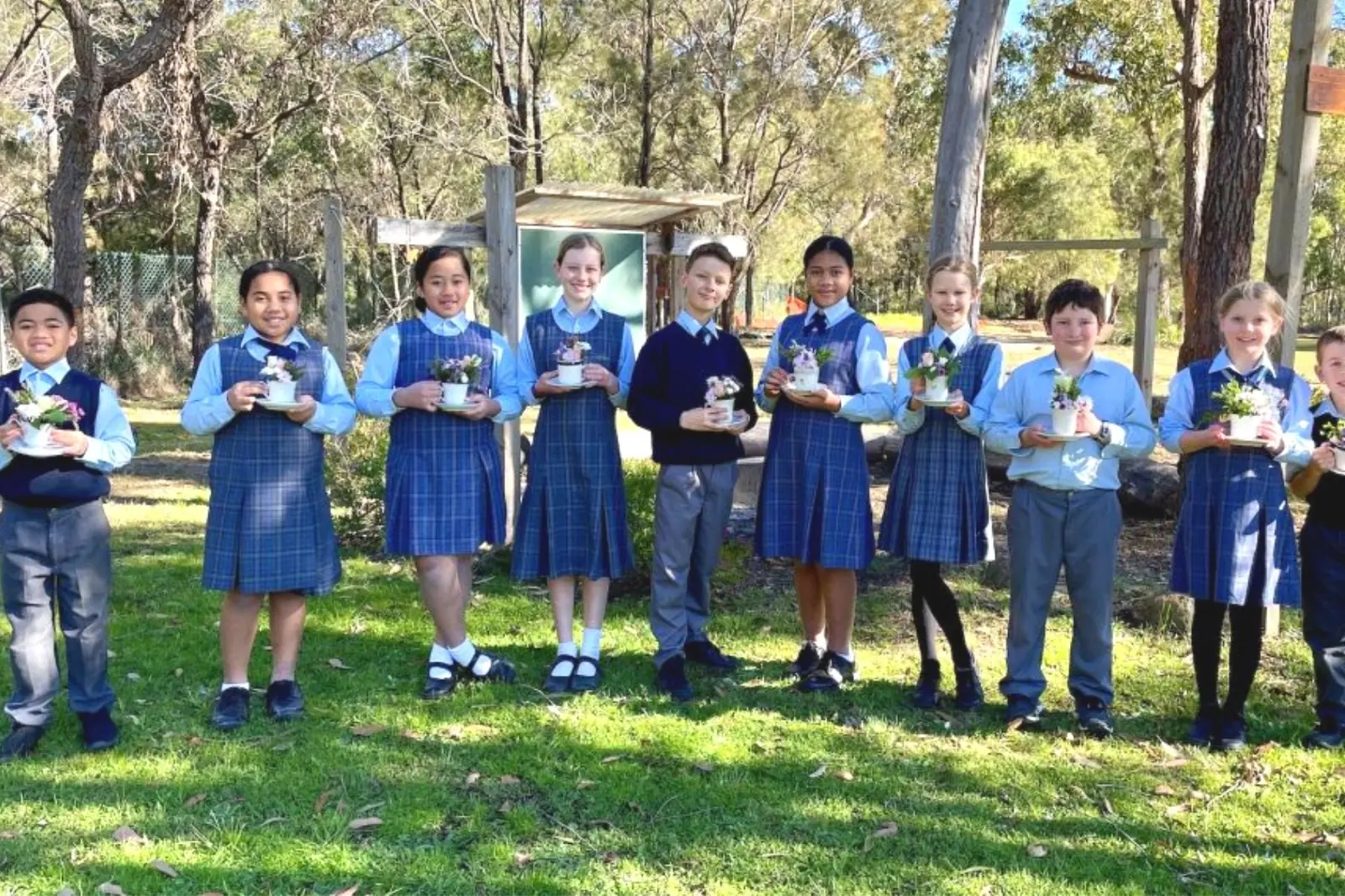 Avondale School hero image