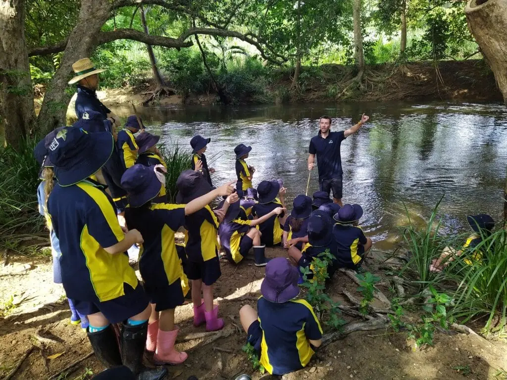 The Rainforest School hero image