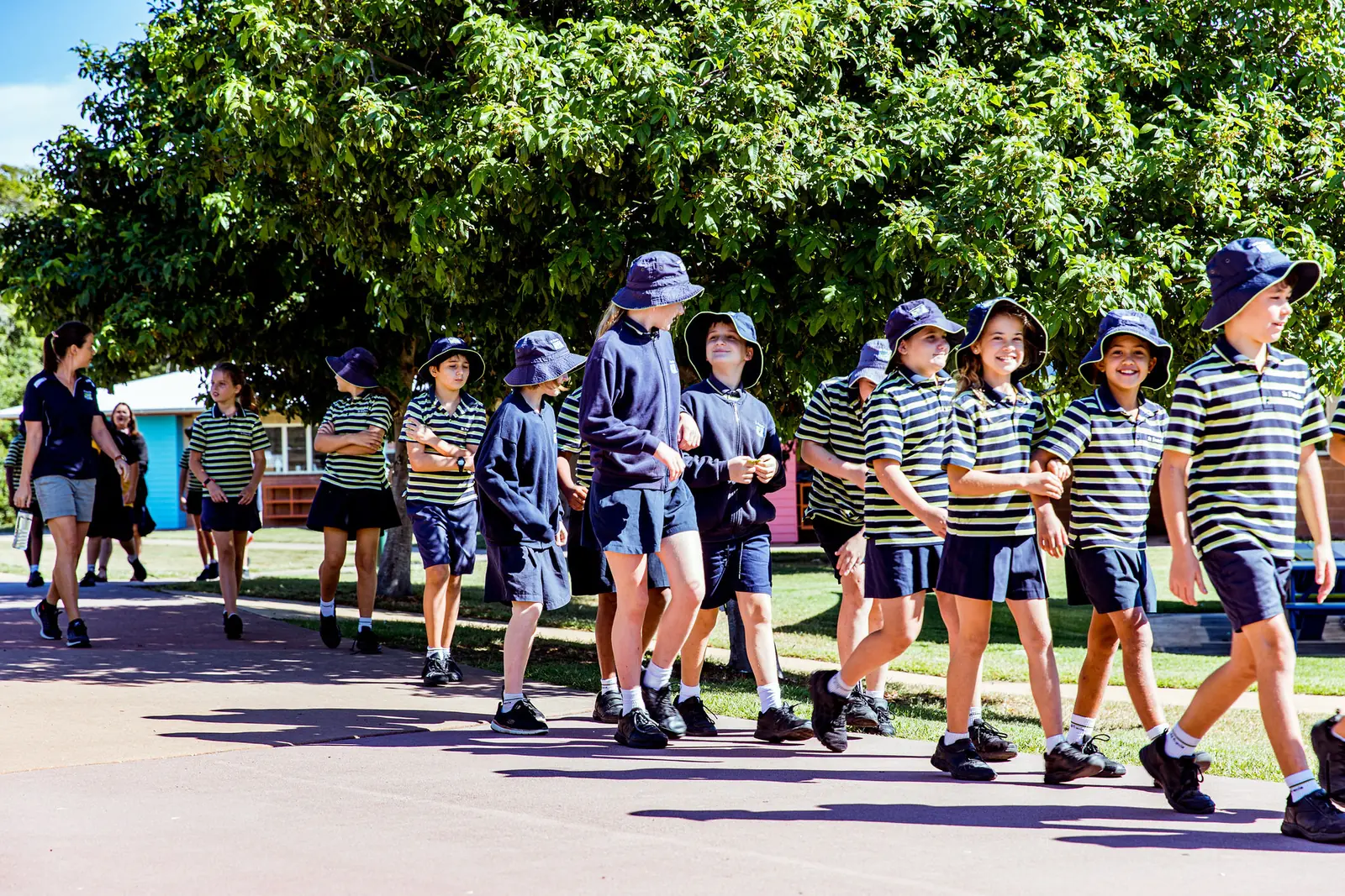 St Francis Catholic Primary School hero image