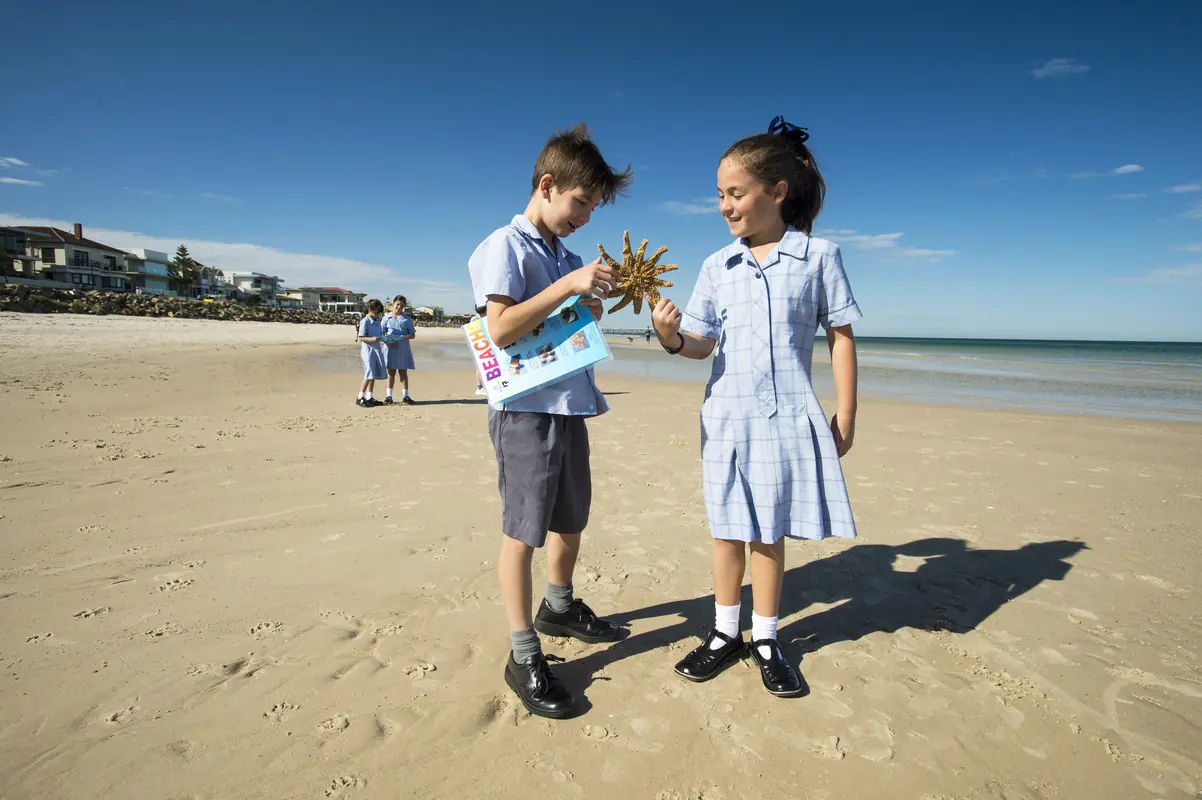 Star of the Sea School hero image