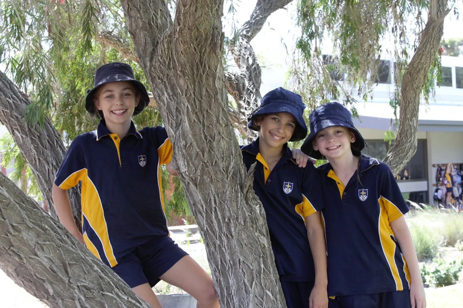 Caritas College hero image