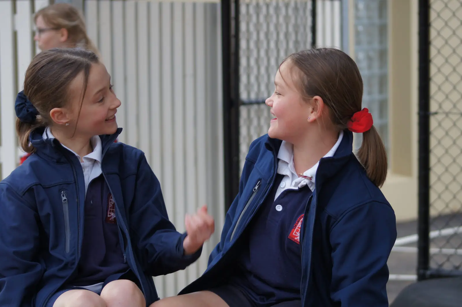 The Launceston Preparatory School hero image