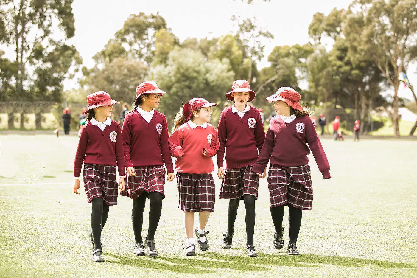 Queen of Peace Primary School hero image