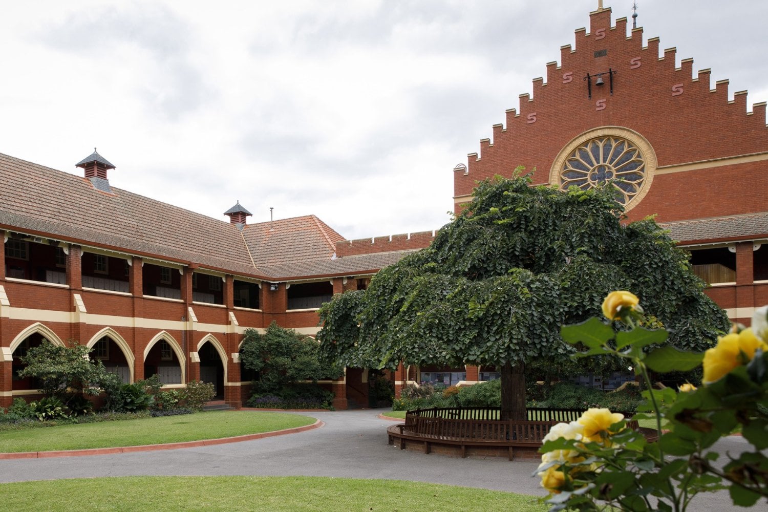 Scotch College hero image