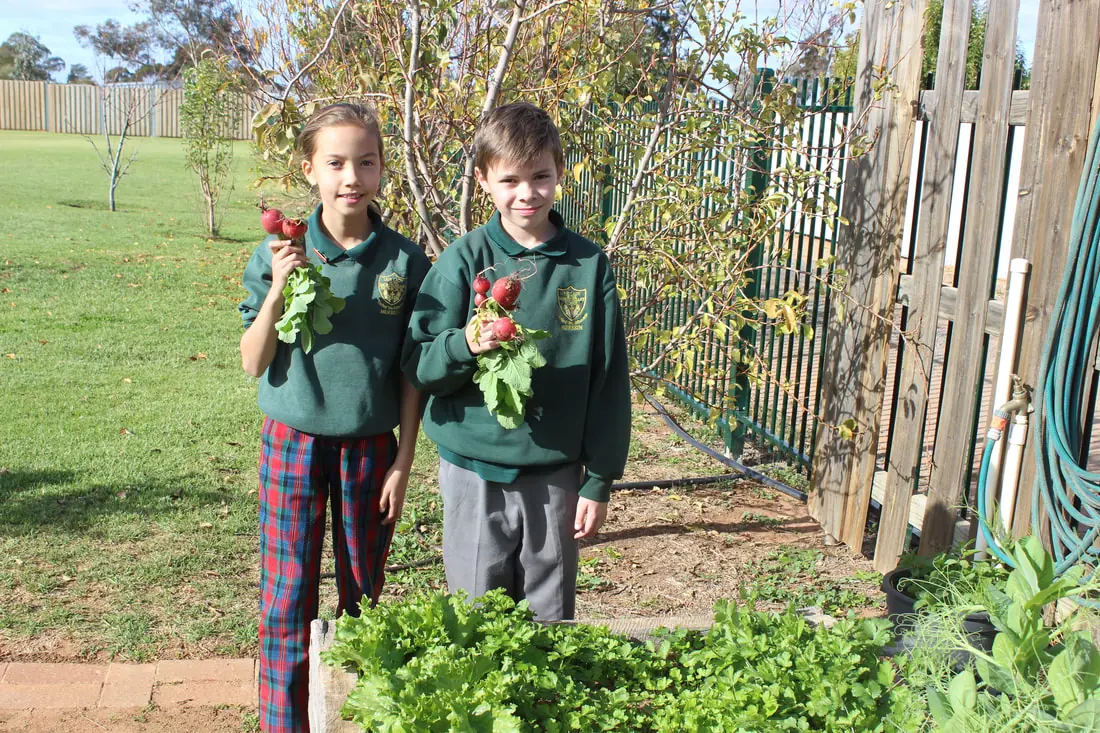 Our Lady of the Sacred Heart School hero image