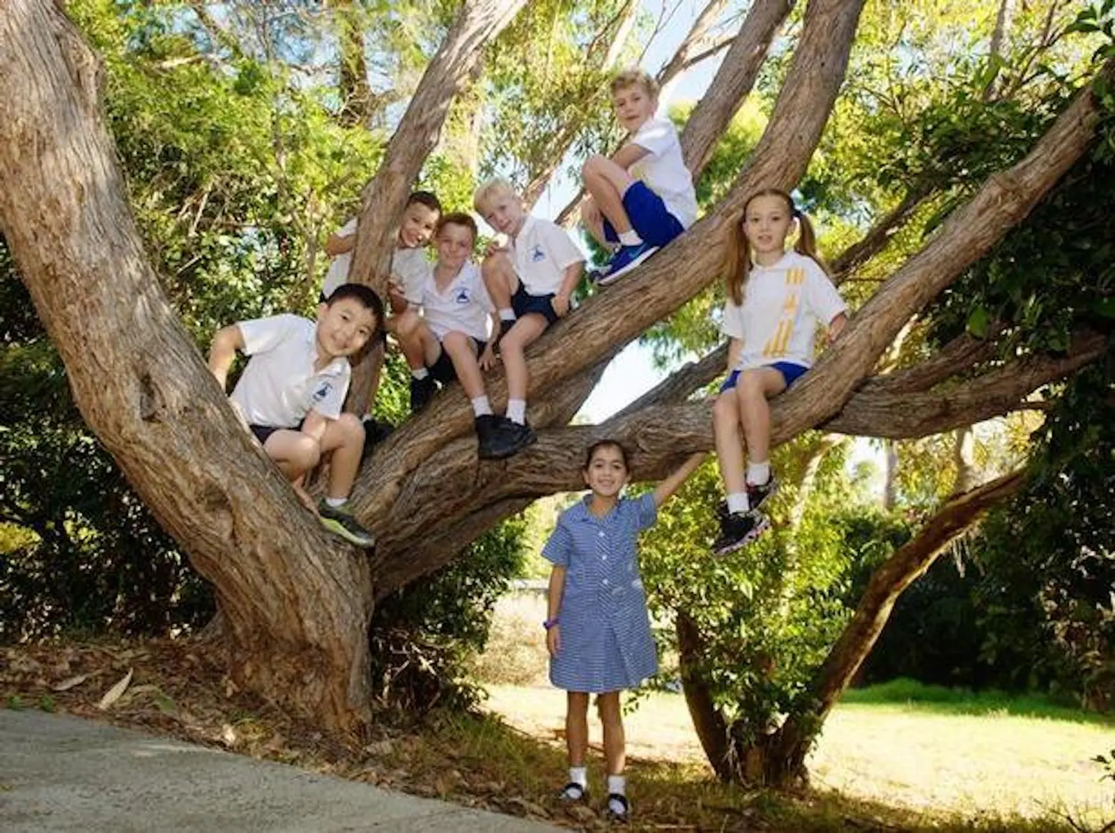 St Kevin's School hero image