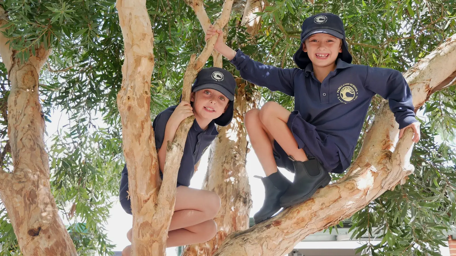 Parklands School hero image