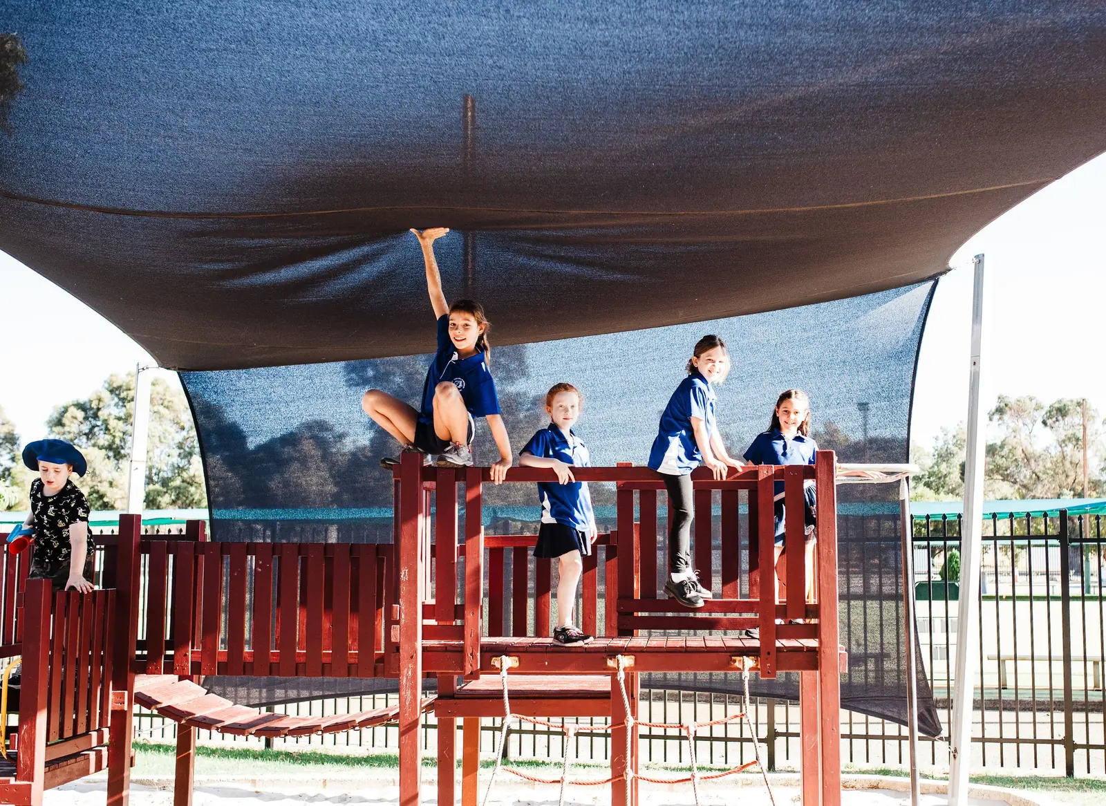 Casa Mia Montessori Community School hero image