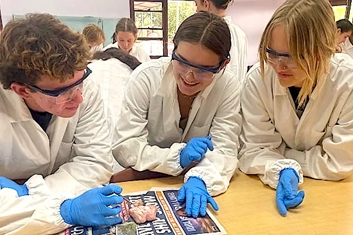 Parkerville Steiner College hero image