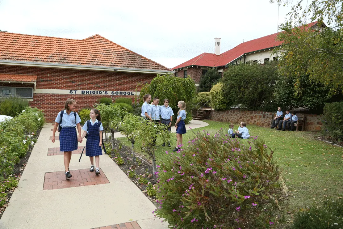 St Brigid's School hero image