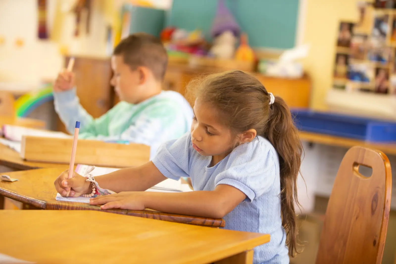 Helena River Steiner School - Secondary Campus hero image